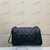 CF Fashion Borsa a tracolla da donna in pelle con diamanti Classica hardware nero Fibbia in metallo Borsa di lusso Borsa a tracolla con catena Matelasse Borse per il trucco Moda Sacoche 20 cm