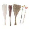 Flores decorativas 70 pcs buquê de flores secas pampas grama reed caudas rosa amarelo billy botão decoração