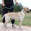 Collari per cani 1.2m P Guinzaglio Corda per animali riflettente con doppio manico Allenamento all'aperto Piombo forte Collana regolabile Accessori per cinture