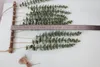 Fiori decorativi Pianta artificiale sospesa Simulazione Foglia di eucalipto Parete El Decorazione per la festa nuziale domestica per interni