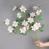 Flores decorativas falsas para paisagismo, requintado, artificial, realista, 5 cabeças, flor clematis, fácil cuidado, simulação de casamento