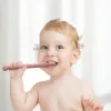 Spädbarns molar Träning tandkött silikon halmgummi leksaker molar masticator soders anti äter handgummi nyfödd tugga övning zz
