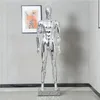 Fashion Nice Colorful Mannequin Electroplated Male Model Customized For Display260p