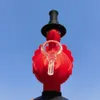 6,7 pouces Silicone Bong fumer conduite d'eau rouge dinde fumer narguilé tuyaux Shisha Bong