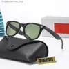 Raa Luxury Baa Sunglasses for Women and Men Designer Same Style Glasses Classic Eye Frame Glasses With Box b1