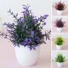 Decorative Flowers Artificial Potted Small For Shelf Green In White Plastic Pot Home Bathroom Decor Faux Peony Vase