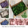 200g hochwertiges ewiges Moos künstliche grüne Pflanze getrocknete Blumen DIY Geschenkbox Kunsthandwerk Zubehör Dekor Wandaufkleber Decora234T