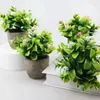 装飾的な花現実的な人工的な多肉植物メンテナンスエレガントな屋内または屋外の鉢植えのフェイクジェイド植物