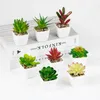 Dekorative Blumen, Mini-Sukkulenten-Bonsai, künstliche grüne Blattpflanze mit weißem Topf für Wohnzimmer-Dekoration, Simulation im Topf, Heimdekoration