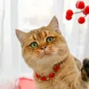 Coleiras para cães coleiras para animais de estimação gargantilha ajustável trançada com pingente colar estilo chinês leão pequeno filhote de cachorro gato por ano