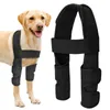 Vêtements pour chiens Bandages pour animaux de compagnie blessure jambe genouillère sangle Protection réglable manchon de récupération fournitures accessoires pour chiens