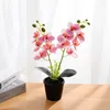 Dekorativa blommor Två grenar Latex Butterfly Orchid med Vase Artificial Flower Bonsai Fake Plant 12 Head For Home Wedding Festival Decor