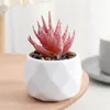 Decorative Flowers Artificial Flocking Succulents Ornaments Simulated Green Plants Mini Cute Potted Office Desktop Bonsai Decorations