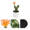 Fleurs décoratives Simulation Cactus faux bonsaï ornement dessin animé ornement artificiel bureau petite décoration d'empotage Mini Figurine