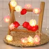 Stringhe 20/30 LED Luci della stringa della rosa USB/Funziona a batteria Fata dei fiori Ghirlanda di Natale per la decorazione della parte di nozze di San Valentino