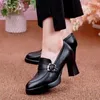 Klänningskor Kvinnor Point High Heels Spring Fashion Comfort Pumpar Tjock Bottom Lightweight Non-Slip Leather Sapatos Femininos