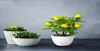 Decorative Flowers Wreaths Simulation Tree Potted Plants Artificial Plant In Pot Fortune Feng Shui Greening Ornaments For Home O3062674