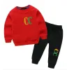 2-11 years children's Clothing Sets BABY boys girls Garment Autumn Winter Pattern Designer Sweater Suit kids coat pants esskids CXG2312146-10