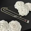 20 Stile Heißer Verkauf Mode Frauen Luxus Designer Halskette Kanal Choker Anhänger Kette Kristall C-Buchstabe Halsketten Statement Schmuck Zubehör sx47i