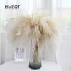 Pampas Grass Home Decor Reed Fouet Fleur Séchée Daisy Arrangement De Mariage Plantes De Noël Matériel Fleurs Artificielles 25pcs / lot 2309m