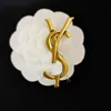 Märke brosches designer brosch stift lyx smycken kvinnor män unisex guld broscher smycken tillbehör älskare gåva