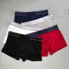 Underpants Designer Men's boxer pure cotton square corner underwear with straight hair 9BTN