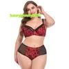 Women's Underwear Set Push up Bras with Steel Ring Sexy Panties Small Lace Chest Padded Bra Breast Holding Anti-Sagging