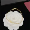 Mens Designer Charm Luxury Bracelets Womens Gold Silver Color Cjeweler Pulsera Aesthetic Luxe Lady Jewlery Designer for Women Link Chain Bracelet for Boys