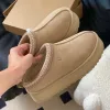 Mit Box Tazz Hausschuhe Damen Tasman Pelz Slides Klassische Senfsamen Ultra Mini Plateaustiefel Slip-on Les Petites Wildleder Wolle Seal Winter Designer Booties Größe 35-44