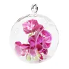 Hangende theelichtkaars Hoder glazen bollen terrarium 2,36 inch bruiloftsfeest boomdecoratie voor hangende plantenbak luchtvarenhouder terrariumplanten hangervaas