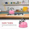 Vattenflaskor 20x19x18.5cm japansk tekanna som surrar vattenkokare kokad kokande induktionsvärme praktiskt rosa rostfritt stål gör 231215