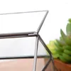 Schmuckbeutel, rechteckiges Glasregal, geometrisches Sukkulenten-Terrarium, geeignet für Desktop-Dekoration