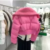 Damen Daunenparkas 2023 Korean Chic Strickkragen Herbst Wintermantel Frauen Verdickte Pufferjacke Lose Parka Warme Baumwolle gepolsterte Kurzmäntel 231215