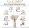 Flores decorativas Grinaldas 85 Pcs Branco Flores Secas Reed Bouquet Seco Pampas Ramos Arranjo Casamento Cauda Grama Dekoration Decoração de Casa 231214