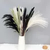 Decorative Flowers Wreaths Fluffy Black Pampas Grass Series Dry Flowers Bouquet About 45cm Bunny Tails Reed Decorative Plumes For Wedding Party Decortion 231214