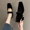 Dress Shoes Mary Jane 2024 Spring And Autumn French Retro Square Head Thick Heel Pumps Fairy Evening Wind Warm