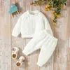 Ensembles de vêtements bébé 2 pièces tenues d'automne à manches longues câble tricot hauts et pantalons ensemble nouveau-né vêtements chauds R231215