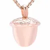 Chaînes ACORN Collier de crémation pour animaux de compagnie humains Cendres d'animaux en acier inoxydable Memorial Urn Keepsake Pendentif Bijoux Femmes Kid257o