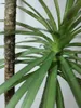 Dekorative Blumen Simulation Dracaena Innenraum Wohnzimmer Grün Ornamente Boden Bonsai Sago Cycas