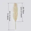 Dekoracyjne kwiaty wieńce Naturalne 90-120 cm Pampas Prairie Zagima biała szara sucha sucha bukiet Fluffy Filfy Bohemian Decoration Wedding Flower Dekoracja 231214