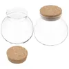 Storage Bottles 2 Pcs Glass Jar Candy With Lid Canisters Airtight Lids Tea Pot Container Wooden Containers