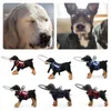 Dog Collars Blind Pet Anti-collision Collar Safe Harness Guide Aids Training Behavior Supplies Tool Collision B6E0