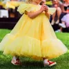 Mädchenkleider Blumenkleid Prinzessin Ball Schönheitswettbewerb Schöner ärmelloser Tüll mehrlagig Erstkommunion Kinder Überraschung Geburtstagsgeschenk