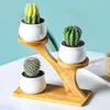 Dekorativa plattor Bambufäste Flower Succulent Pot Rack Stand Shelf Mini Bonsai Organisation Desktop Ornament Display Home Decorations