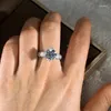 Cluster Ringen Echte S925 Sterling Zilveren Ring Box Voor Vrouwen 1 S Moissanite Sieraden Edelsteen Bague Bizuteria 925