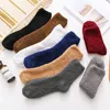 Chaussettes Bonneterie 5 paires/lot hiver épaissir corail polaire hommes chaussettes chaud mode maison décontracté étage Sox couleur unie peluche mi-tube chaussette femmes 231215