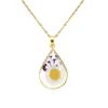 Ny Golden Water Drop Moon Flower Series Naturlig torkad blomma växtprov Halsband Rose Creative Pendant Gift