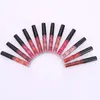 PLUMPER الشفاه 12PCS 1SET Matte Gloss مجموعة مقاومة للماء طويلة الأمد تدوم رطبة أنبوب الشفاه الصغار الصغار الماكياج 231215