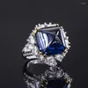 Bagues de cluster S925 Bague en argent Imitation Trésor coloré Tansang Blue Sugar Tower Full Diamond Pierre principale 14