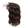 Gres cheveux synthétiques frange pince frange droite fausse pièce haute température fibre perruque sur Extension